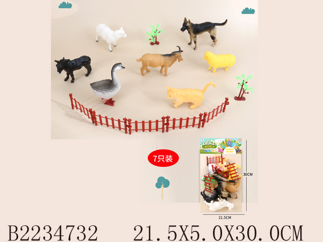 产品图片