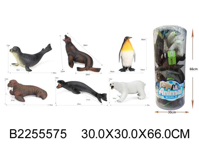 产品图片