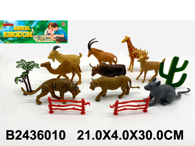 产品图片