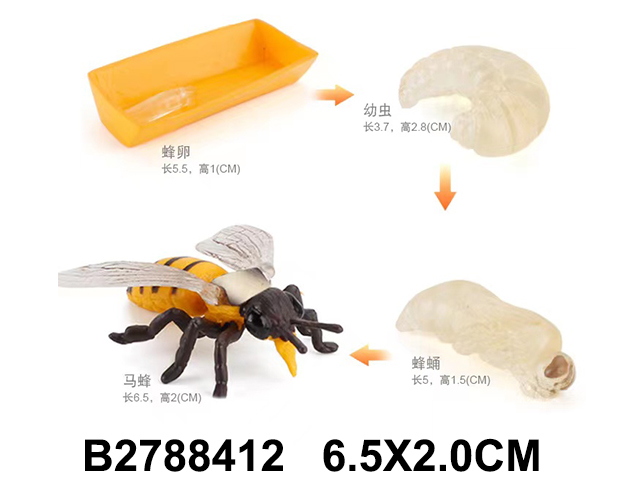 产品图片
