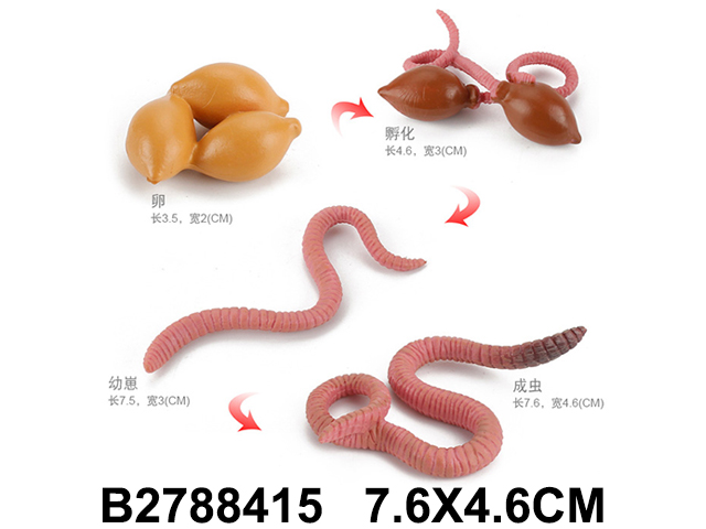 产品图片