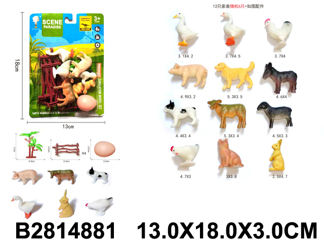 产品图片
