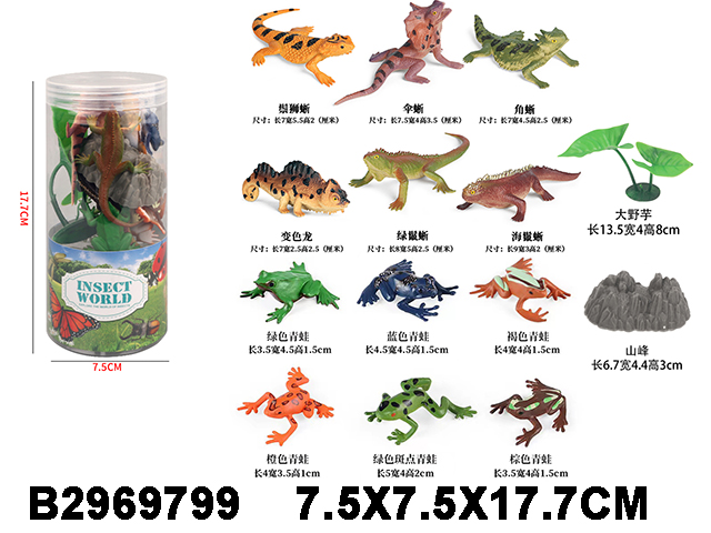 产品图片