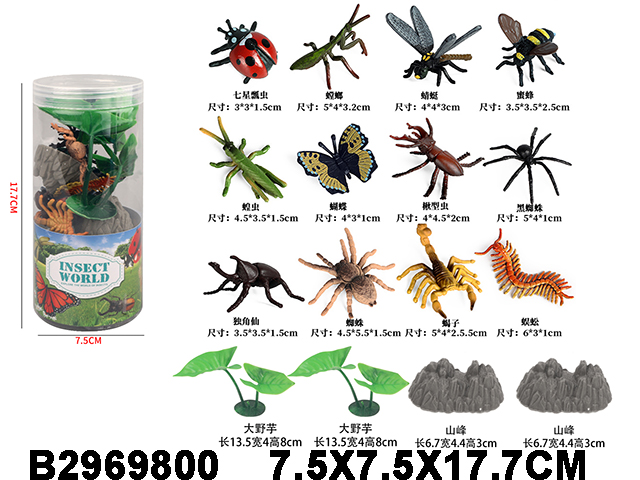 产品图片