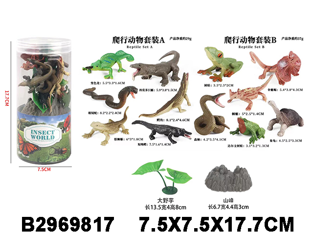 产品图片