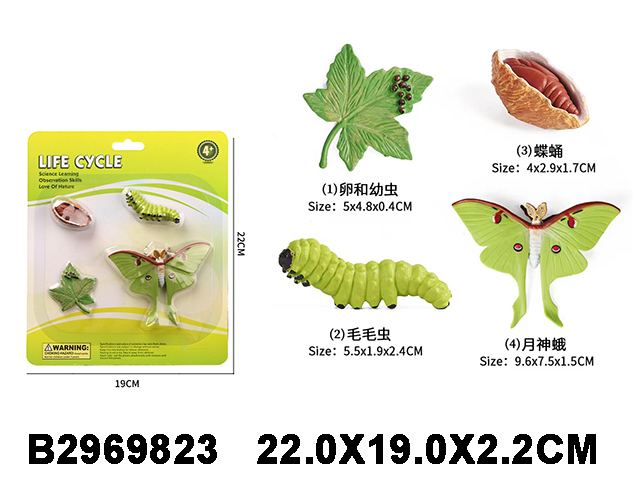 产品图片