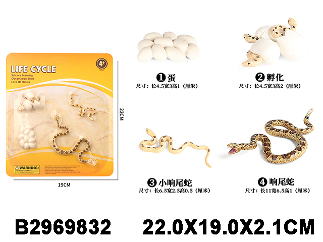 产品图片