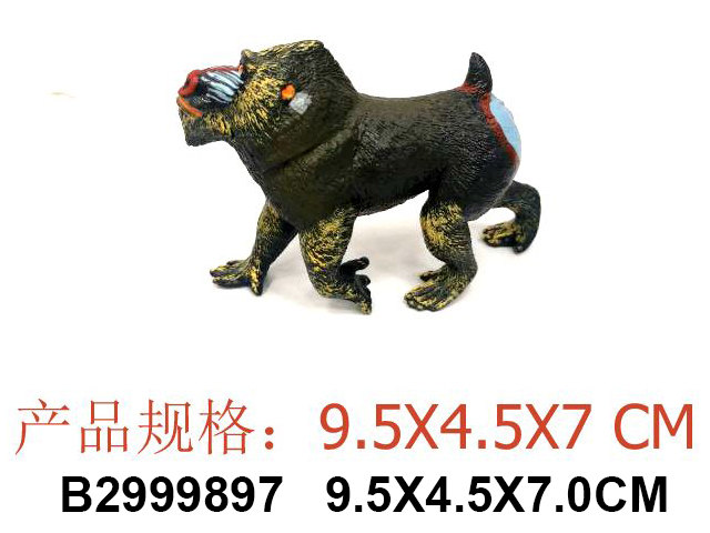 产品图片